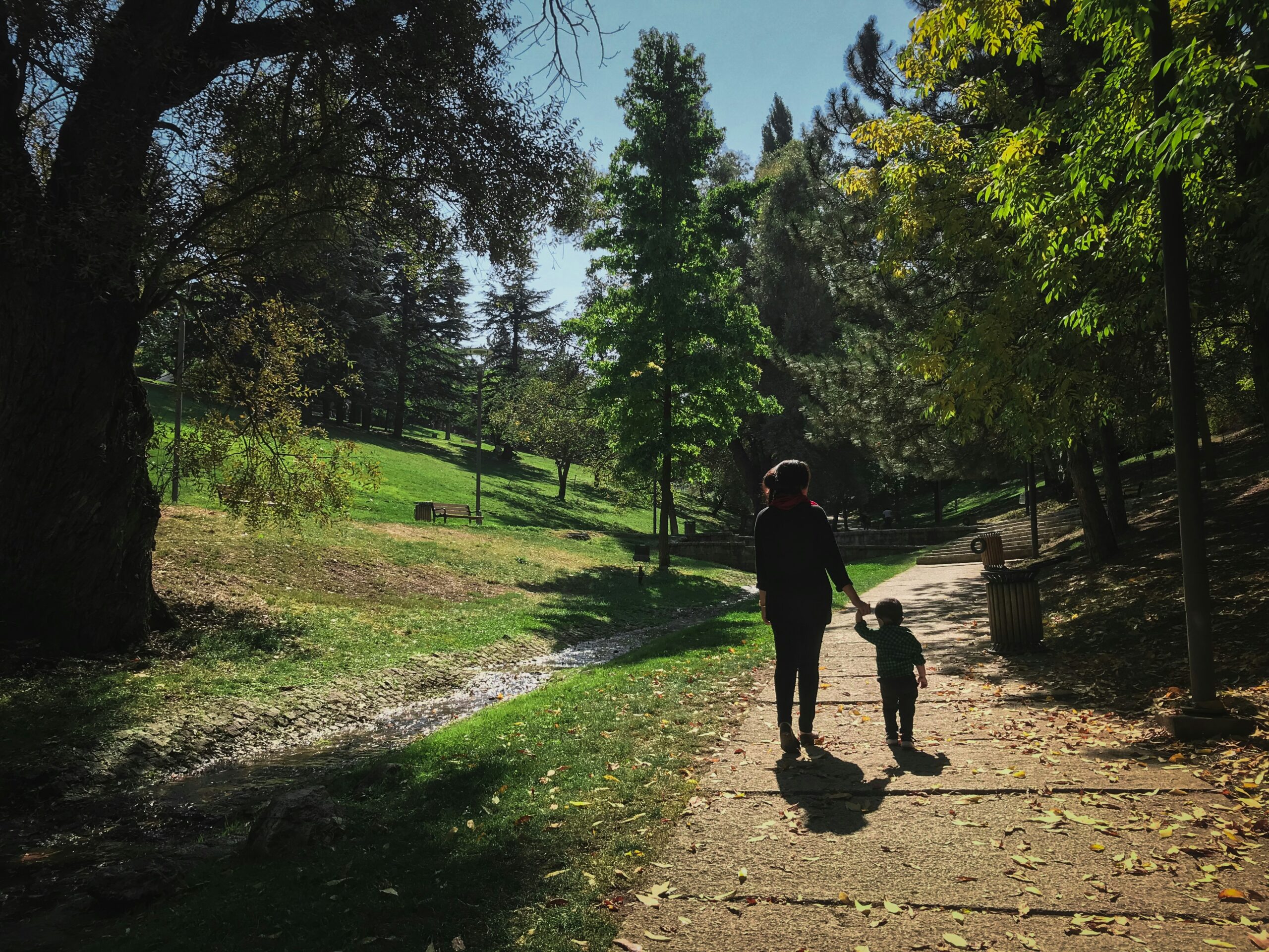Family walking together in a park